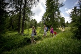 © Bild: TVB Murau- Kreischberg, Tom Lamm, www.ikarus.com



